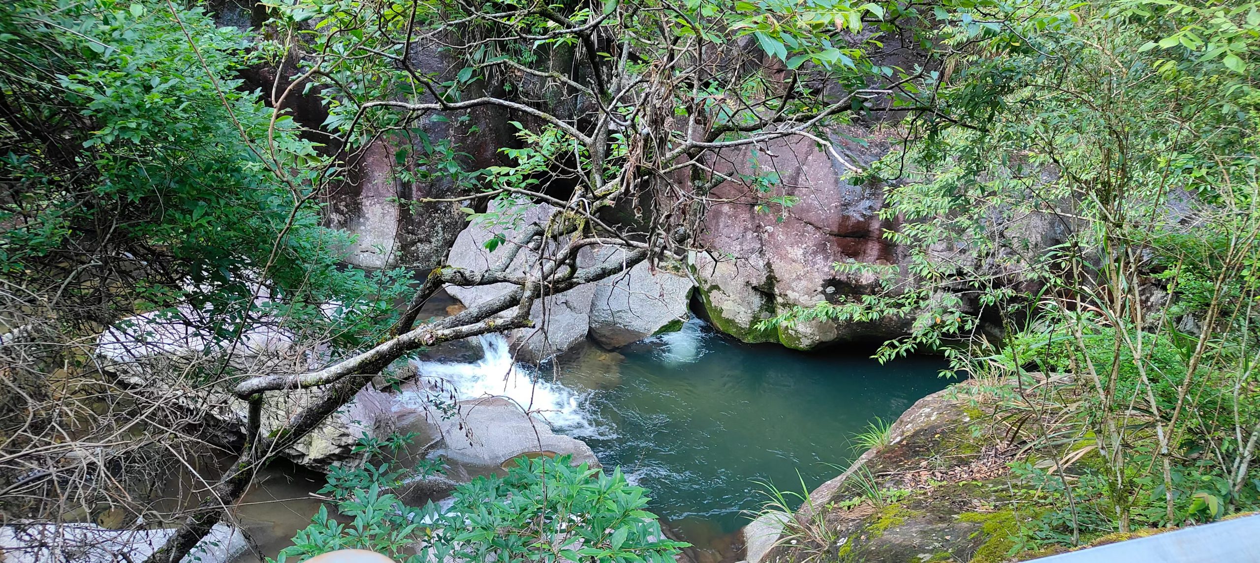 mmexport1752160948733-scaled-1