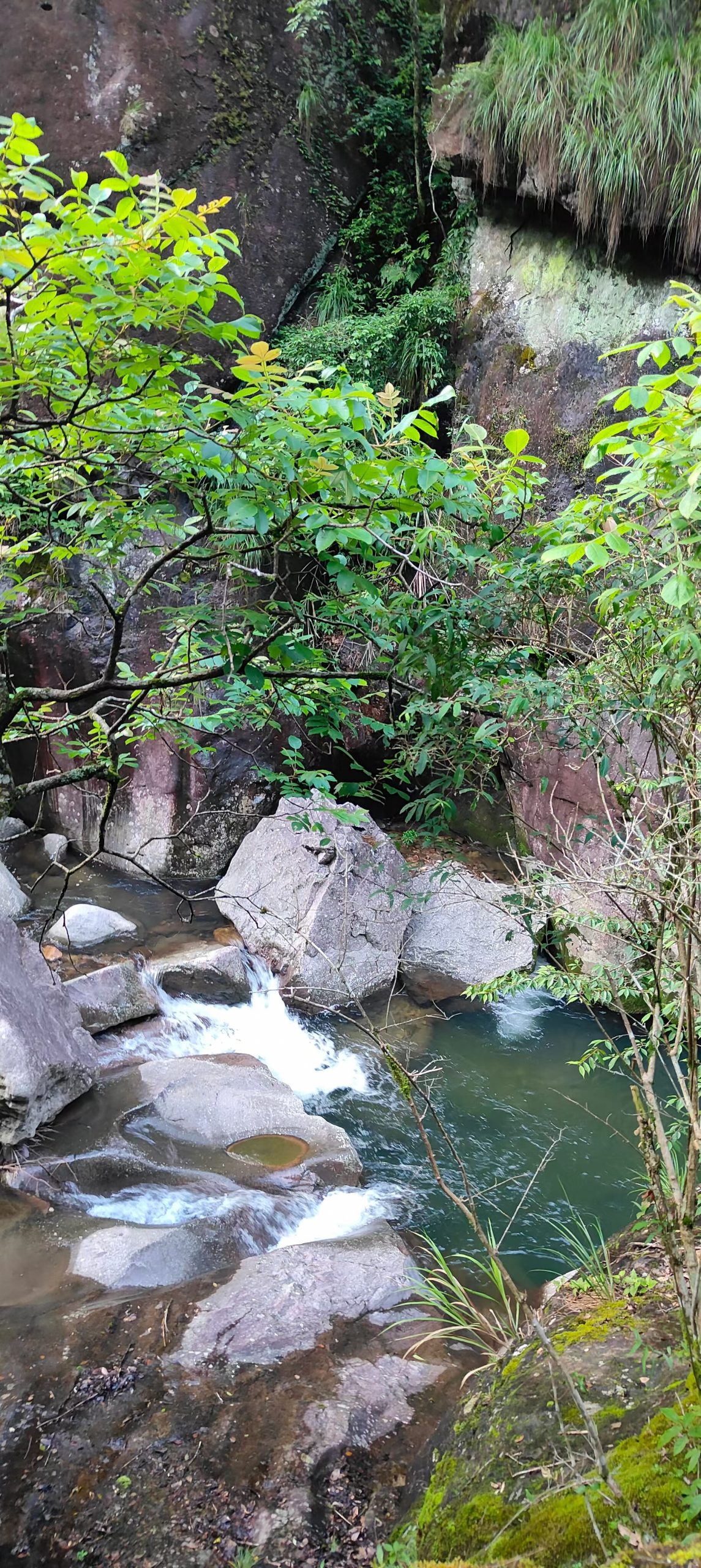 mmexport1752160957288-scaled-1