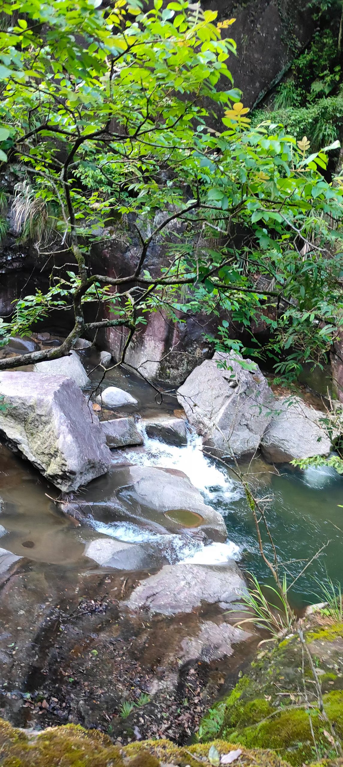 mmexport1752160960266-scaled-1